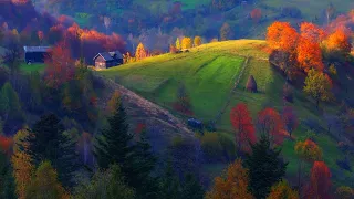 رحلة مذهلة بين أجمل مناظر طبيعية في العالم لتخفيف التوتر مع أصوات الطبيعة 