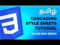 CSS Box Sizing Cascading Style Sheets Tutorial