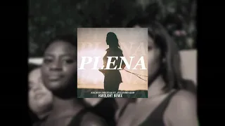 nelson freitas plena feat julinho ksd hardlight remix 