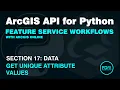 Get Unique Attribute Values in ArcGIS Online using the ArcGIS API for Python