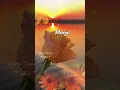 Download Lagu 💕Pachchai Nirame💕Alaipayuthey💕AR Rahman💕 #musicuniverse #tamilstatussongs  #lyricsvideo