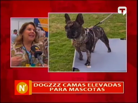 Dogzzz camas elevadas para mascotas