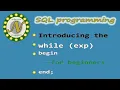 How to use the WHILE loop in SQL Server for beginners