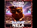 Tung Tung Tung Sahur Nela