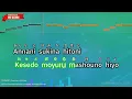 TSUNAMI – Southern All Stars (Romaji Karaoke no guide)