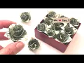 How to make Easy Money Rose - Easy Dollar Flower Rose Origami Tutorial