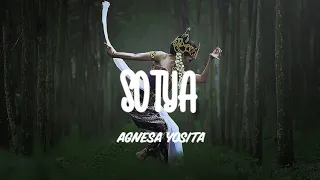 sotya dru wendra wedhatama cover by agnesa yosita lirik