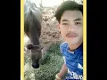 บ่ลอด-ศาล​ ศิลป์​ OST.​ ไทบ้านเดอะซีรี่ส์​ cover​ บักจอง​ หอง