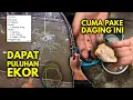 Download Lagu Total Terbanyak Sampe Puluhan Ekor! Tutorial cara pake dan cara mengolah umpan Pepes atau Sasak ikan