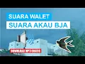 SUARA WALET AKAU BJU (SI).