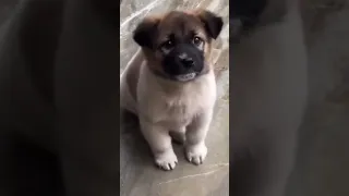 Https Youtu Be 8iwBM YB1sE Si XIVgDjlP1bj9B7EJ 