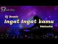 Ingat ingat kamu - maisaka | dj remix new | video lyrics