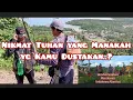 Download Lagu Healing Kita Healing Working Mulu | Indahnya Alam ini | Mendaki Gunung Trus Tiap Minggu