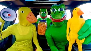 frog steals puppy from rubber ducky in car ride chase