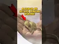 Download Lagu Makhluk Ini Setara Dengan Wukong ? Sun Wukong Minta Bantuan Buddha #blackmythwukong #wukong