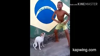 اغنية الكلب مضحك دندنها