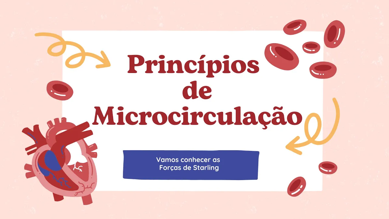 Princípios de Microcirculação: O Papel Essencial dos Capilares no Corpo Humano / MinutoMed9