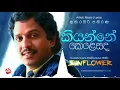 Download Lagu KIYANNE KELESADA | KUMARASIRI PATHIRANA with Sunflower