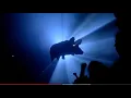 Pink Floyd - \