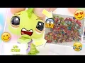 LPS SHOPPING ON EBAY