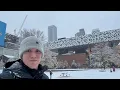 Toronto LIVE: First SNOWFALL stream this Season... in downtown