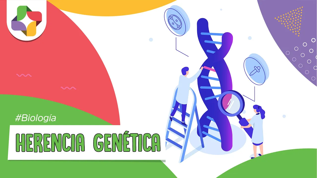 Herencia genética | Biología - Educatina