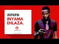 Download Lagu Ukuphupha Inyama ehlaza |  @pastorweningi