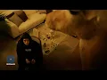Download Lagu Yan Block - IDGAF (Video Oficial)