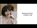 Because I Love You ( AKMU SUHYUN) Lirik