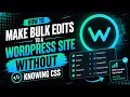 How to Make Bulk Edits to a WordPress Site WITHOUT Knowing CSS