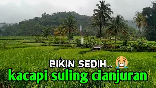 kacapi suling sedih dengan suasana pedesaan turun hujan bikin kangen kampung halaman