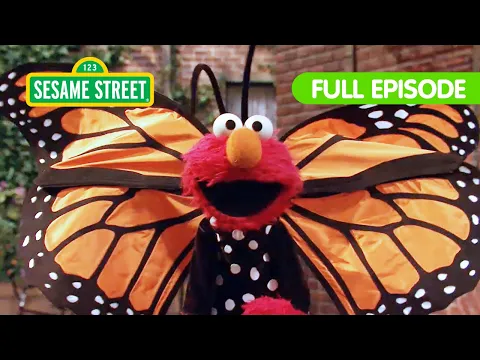 Download MP3 Elmo’s Butterfly Friend | Sesame Street Full Episode