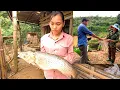 Download Lagu Just coming back from the market, I was stunned to see a giant fish hanging in front of my house.