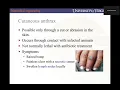 Download Lagu Lecture 14 DNA Replication Part 1 BME2104 Spring 2025