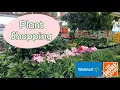 Big Box Store Plant Shopping Firestone CO Home Depot and Longmont CO Walmart
