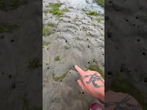 "Don’t Touch These Beach Holes! 😱