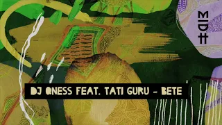 dj qness feat tati guru bete original mix midh 022