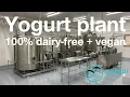 Download Lagu Planta de yogurt - Productos Zero Lácteo - Mexico City - dairy-free,vegan , sin lácteos, vegano