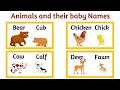 Download Lagu Animal and their Babies Names (With pictures) | Animal Names in English