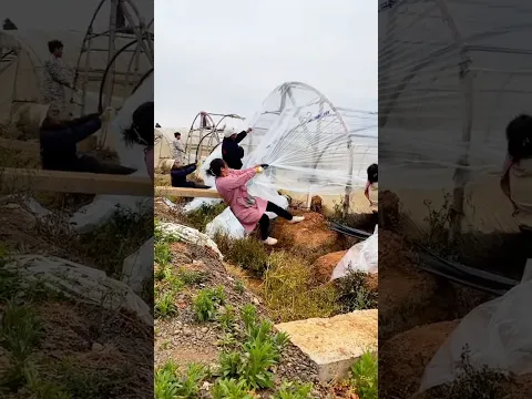 Fastest Way to Build Hoop House Plastic Covers #works