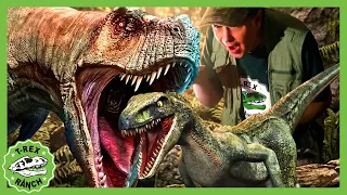 GIANT T-Rex Skeleton Escape! | 90 Mins | 🦖🦕 T-Rex Ranch Dinosaur Videos