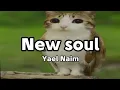 Lagu Meowl/New soul - Yael Naim/lyrics (eng/esp)
