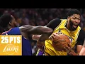 Anthony Davis 25 points 10 rebounds in Lakers debut 2019 NBA Highlights