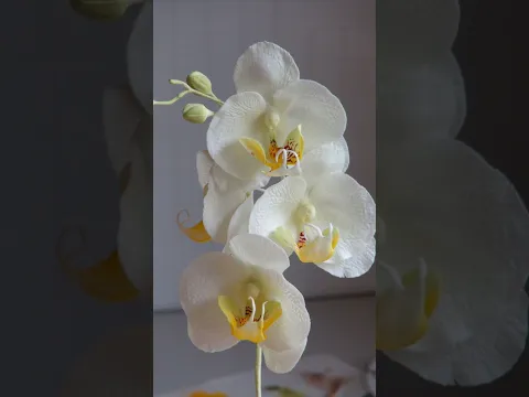 Это завораживает Создание сахарных цветов #оформленияторта #рецепты #торт
