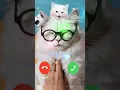 Beautiful Cute cat Calling 💔🎶💔 Cute Cat Ringtone #shorts #ringtone #shortvideo