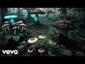 Download Lagu Timewarp inc - Smoke Miash (Official)