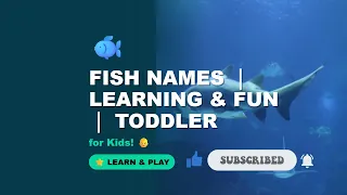 Fish Names for Kids | Learning & Fun | Educational Toddler Video