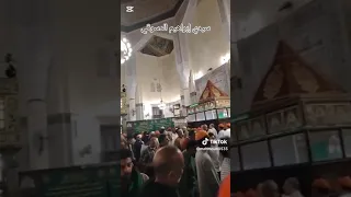   سيدي ابراهيم الدسوقي دندنها