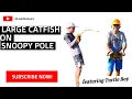 Large Catfish on snoopy pole feat Turtle boy