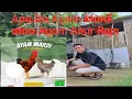 Download Lagu Apa itu Ayam Kampung Akar Raja atau Ayam Mardi